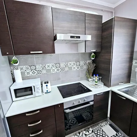 Apartment Chic Old Center - Ivo19 Bucharest